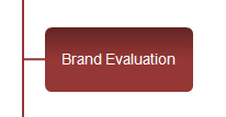 Brand Evaluation