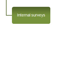 Interne Surveys